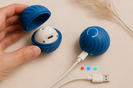 Charging Setup Guide